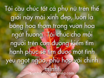 Tôi cầu chúc tất cả phụ nữ trên thế giới này mãi xinh đẹp, luôn là bông hoa thơm trong vườn hoa ngát hương. Tôi chúc cho mỗi người trên con đường kiếm tìm hạnh phúc sẽ tìm được một tình yêu ngọt ngào, phù hợp với chính mình!
