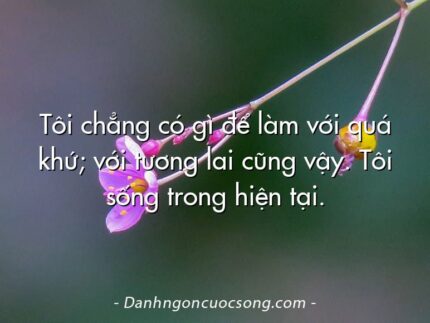 Tôi chẳng có gì để làm với quá khứ; với tương lai cũng vậy. Tôi sống trong hiện tại.