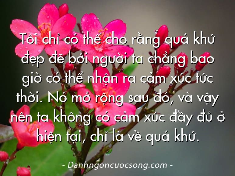 Tôi chỉ có thể cho rằng quá khứ đẹp đẽ bởi người ta chẳng bao giờ có thể nhận ra cảm xúc tức thời. Nó mở rộng sau đó, và vậy nên ta không có cảm xúc đầy đủ ở hiện tại, chỉ là về quá khứ.