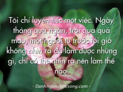 Tôi chỉ luyến tiếc một việc. Ngày tháng quá ngắn, trôi qua quá mau, một người từ trước tới giờ không nhìn ra đã làm được những gì, chỉ có thể nhìn ra nên làm thế nào.