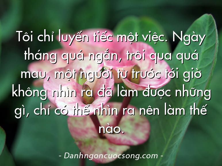 Tôi chỉ luyến tiếc một việc. Ngày tháng quá ngắn, trôi qua quá mau, một người từ trước tới giờ không nhìn ra đã làm được những gì, chỉ có thể nhìn ra nên làm thế nào.