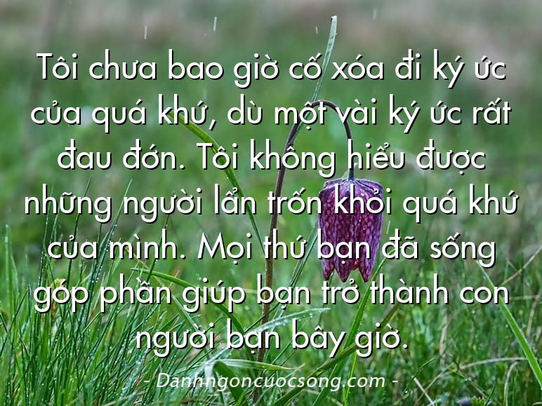 Tôi chưa bao giờ cố xóa đi ký ức của quá khứ, dù một vài ký ức rất đau đớn. Tôi không hiểu được những người lẩn trốn khỏi quá khứ của mình. Mọi thứ bạn đã sống góp phần giúp bạn trở thành con người bạn bây giờ.