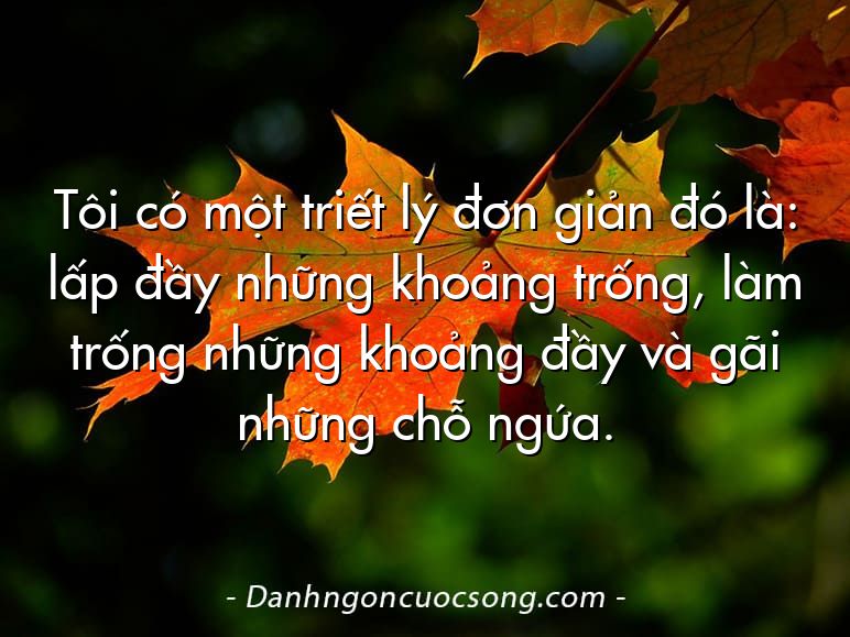 Tôi có một triết lý đơn giản đó là: lấp đầy những khoảng trống, làm trống những khoảng đầy và gãi những chỗ ngứa.