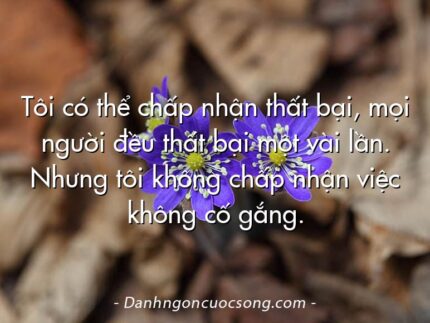 Tôi có thể chấp nhận thất bại, mọi người đều thất bại một vài lần. Nhưng tôi không chấp nhận việc không cố gắng.