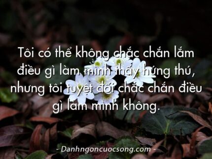 Tôi có thể không chắc chắn lắm điều gì làm mình thấy hứng thú, nhưng tôi tuyệt đối chắc chắn điều gì làm mình không.