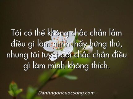 Tôi có thể không chắc chắn lắm điều gì làm mình thấy hứng thú, nhưng tôi tuyệt đối chắc chắn điều gì làm mình không thích.