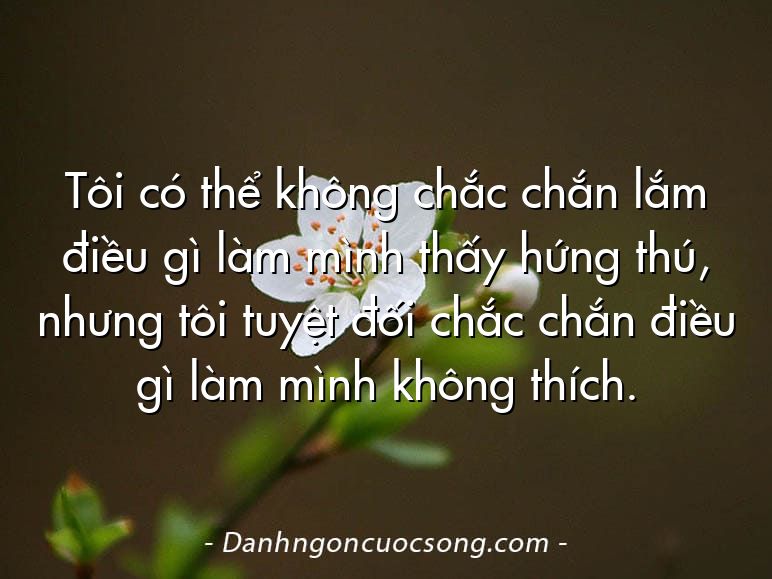 Tôi có thể không chắc chắn lắm điều gì làm mình thấy hứng thú, nhưng tôi tuyệt đối chắc chắn điều gì làm mình không thích.