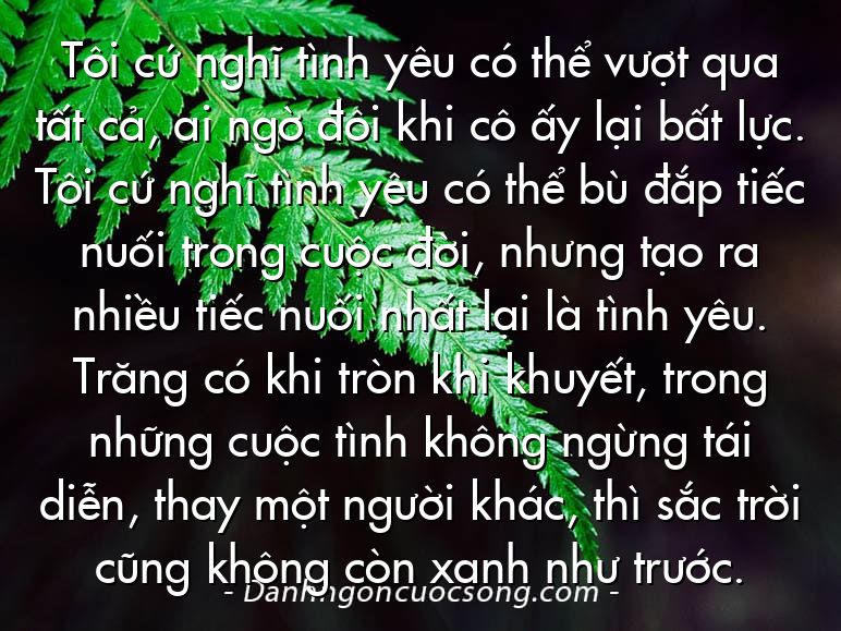 Tôi cứ nghĩ tình yêu có thể vượt qua tất cả, ai ngờ đôi khi cô ấy lại bất lực. Tôi cứ nghĩ tình yêu có thể bù đắp tiếc nuối trong cuộc đời, nhưng tạo ra nhiều tiếc nuối nhất lại là tình yêu. Trăng có khi tròn khi khuyết, trong những cuộc tình không ngừng tái diễn, thay một người khác, thì sắc trời cũng không còn xanh như trước.