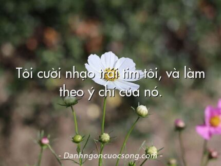 Tôi cười nhạo trái tim tôi, và làm theo ý chí của nó.