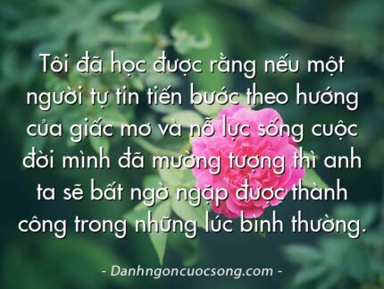 Tôi đã học được rằng nếu một người tự tin tiến bước theo hướng của giấc mơ và nỗ lực sống cuộc đời mình đã mường tượng thì anh ta sẽ bất ngờ ngặp được thành công trong những lúc bình thường.