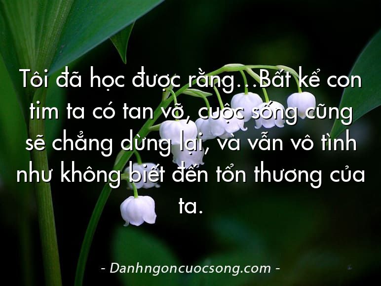 Tôi đã học được rằng…Bất kể con tim ta có tan vỡ, cuộc sống cũng sẽ chẳng dừng lại, và vẫn vô tình như không biết đến tổn thương của ta.