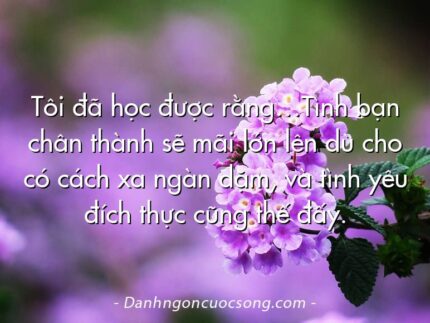 Tôi đã học được rằng…Tình bạn chân thành sẽ mãi lớn lên dù cho có cách xa ngàn dặm, và tình yêu đích thực cũng thế đấy.