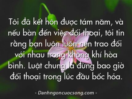 Tôi đã kết hôn được tám năm, và nếu bàn đến việc đối thoại, tôi tin rằng bạn luôn luôn nên trao đổi với nhau trong không khí hòa bình. Luật chung là đừng bao giờ đối thoại trong lúc đầu bốc hỏa.