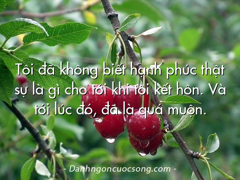 Tôi đã không biết hạnh phúc thật sự là gì cho tới khi tôi kết hôn. Và tới lúc đó, đã là quá muộn.