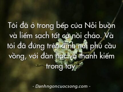 Tôi đã ở trong bếp của Nỗi buồn và liếm sạch tất cả nồi chảo. Và tôi đã đứng trên đỉnh núi phủ cầu vồng, với đàn hạc và thanh kiếm trong tay.