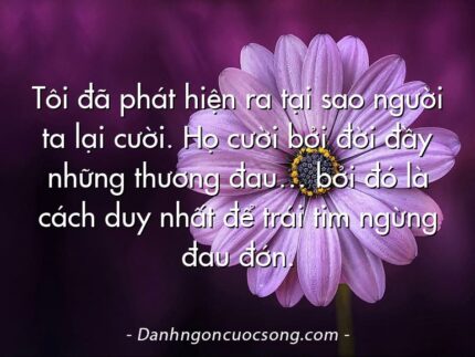 Tôi đã phát hiện ra tại sao người ta lại cười. Họ cười bởi đời đầy những thương đau… bởi đó là cách duy nhất để trái tim ngừng đau đớn.