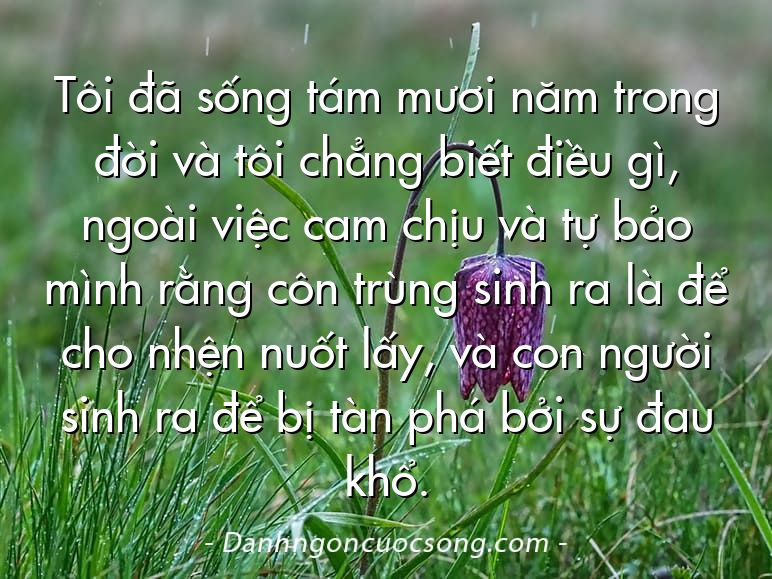 Tôi đã sống tám mươi năm trong đời và tôi chẳng biết điều gì, ngoài việc cam chịu và tự bảo mình rằng côn trùng sinh ra là để cho nhện nuốt lấy, và con người sinh ra để bị tàn phá bởi sự đau khổ.