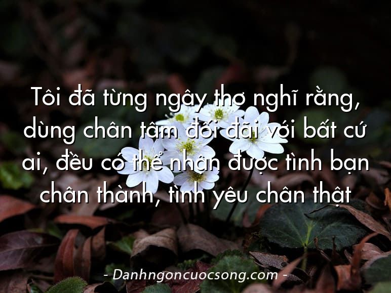 Tôi đã từng ngây thơ nghĩ rằng, dùng chân tâm đối đãi với bất cứ ai, đều có thể nhận được tình bạn chân thành, tình yêu chân thật