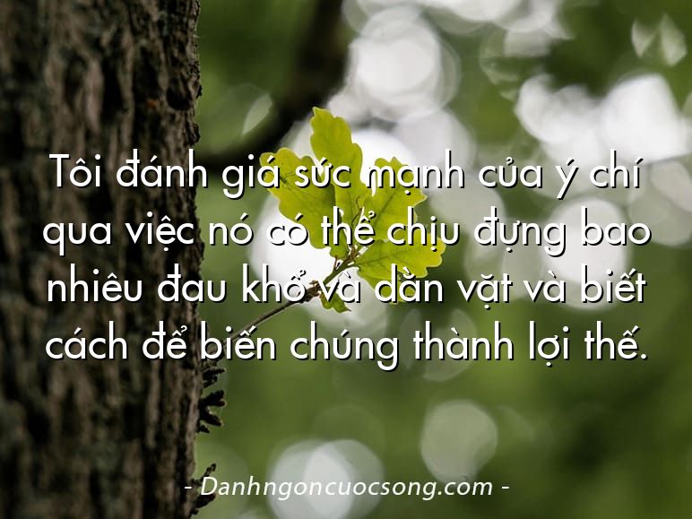 Tôi đánh giá sức mạnh của ý chí qua việc nó có thể chịu đựng bao nhiêu đau khổ và dằn vặt và biết cách để biến chúng thành lợi thế.
