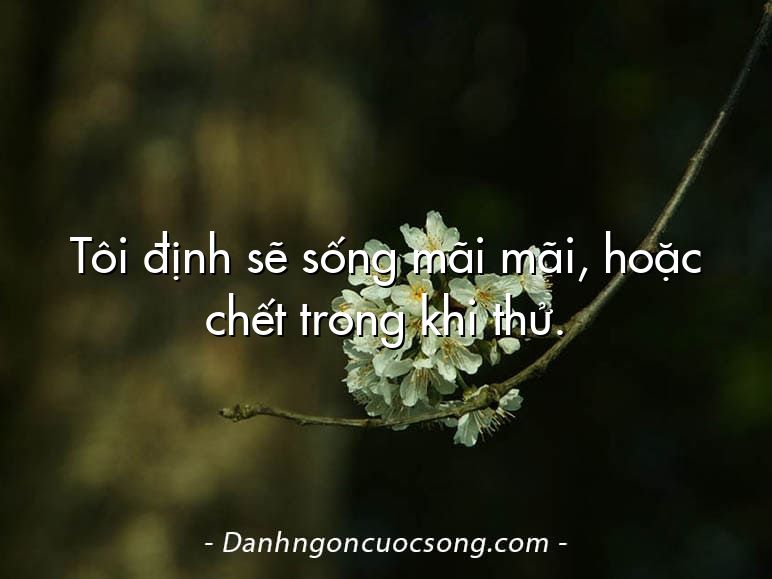 Tôi định sẽ sống mãi mãi, hoặc chết trong khi thử.