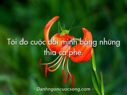Tôi đo cuộc đời mình bằng những thìa cà phê.