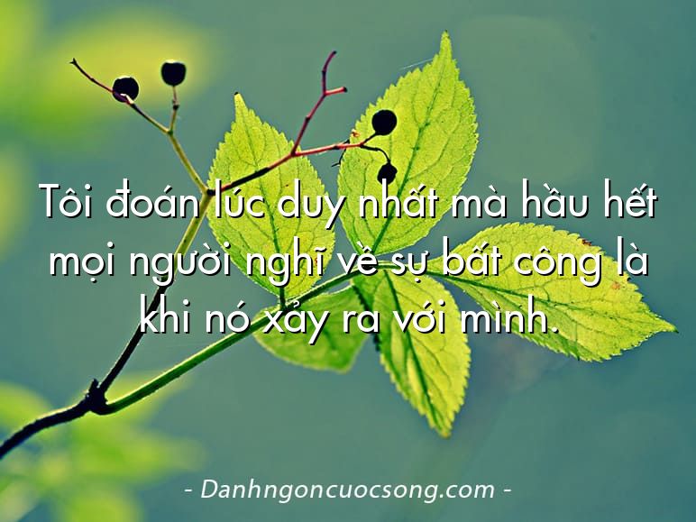 Tôi đoán lúc duy nhất mà hầu hết mọi người nghĩ về sự bất công là khi nó xảy ra với mình.