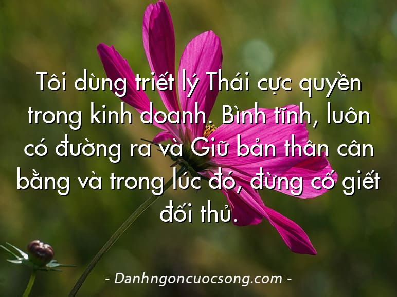 Tôi dùng triết lý Thái cực quyền trong kinh doanh. Bình tĩnh, luôn có đường ra và Giữ bản thân cân bằng và trong lúc đó, đừng cố giết đối thủ.