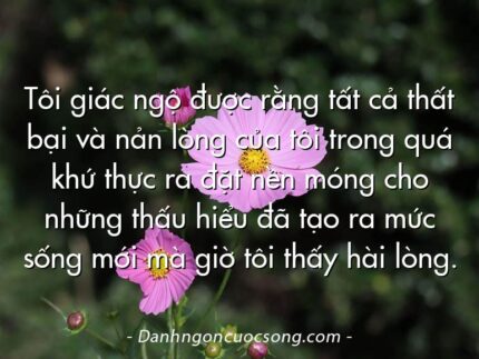 Tôi giác ngộ được rằng tất cả thất bại và nản lòng của tôi trong quá khứ thực ra đặt nền móng cho những thấu hiểu đã tạo ra mức sống mới mà giờ tôi thấy hài lòng.