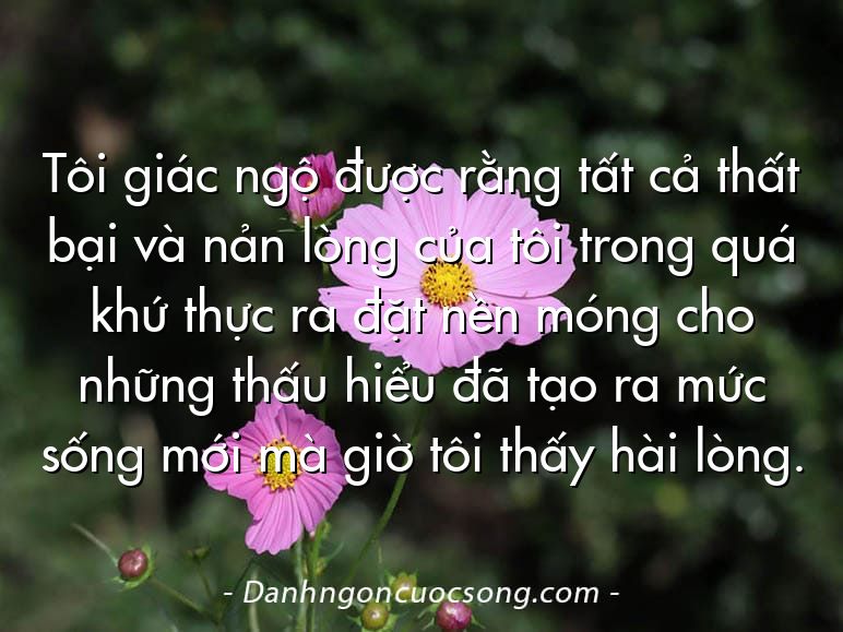 Tôi giác ngộ được rằng tất cả thất bại và nản lòng của tôi trong quá khứ thực ra đặt nền móng cho những thấu hiểu đã tạo ra mức sống mới mà giờ tôi thấy hài lòng.