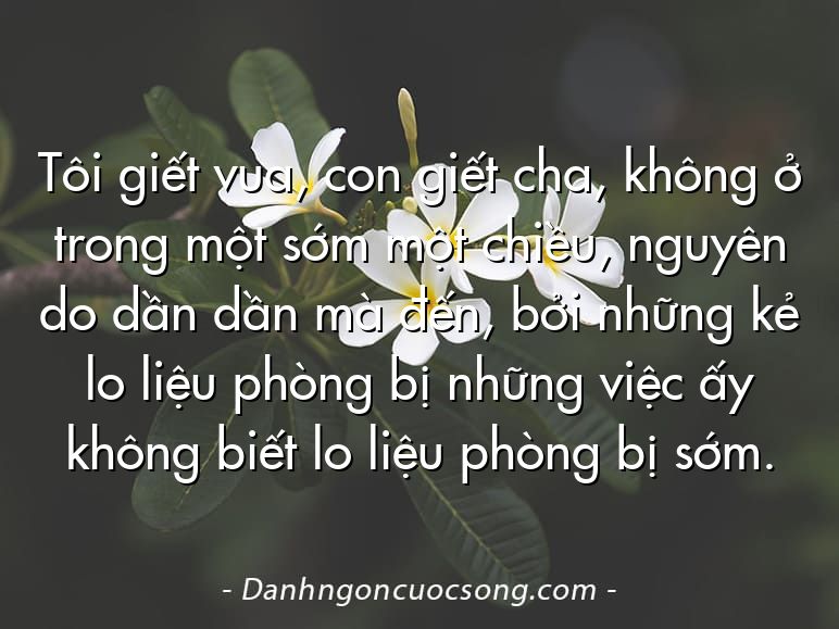 Tôi giết vua, con giết cha, không ở trong một sớm một chiều, nguyên do dần dần mà đến, bởi những kẻ lo liệu phòng bị những việc ấy không biết lo liệu phòng bị sớm.