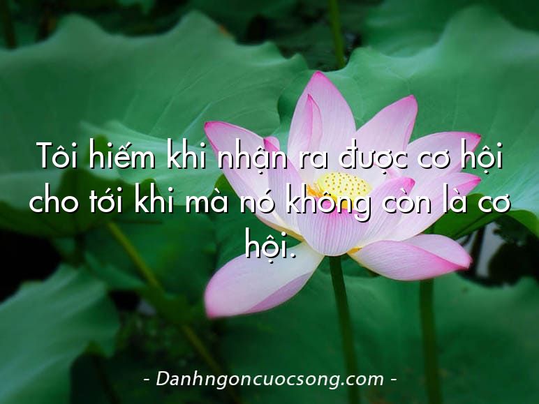 Tôi hiếm khi nhận ra được cơ hội cho tới khi mà nó không còn là cơ hội.