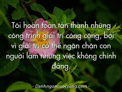 Tôi hoàn toàn tán thành những công trình giải trí công cộng, bởi vì giải trí có thể ngăn chặn con người làm những việc không chính đáng.