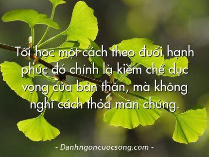 Tôi học một cách theo đuổi hạnh phúc đó chính là kiềm chế dục vọng của bản thân, mà không nghĩ cách thỏa mãn chúng.