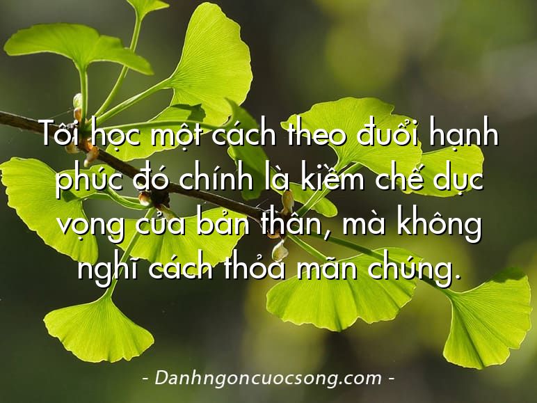 Tôi học một cách theo đuổi hạnh phúc đó chính là kiềm chế dục vọng của bản thân, mà không nghĩ cách thỏa mãn chúng.