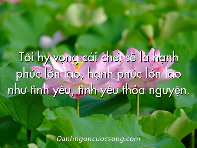 Tôi hy vọng cái chết sẽ là hạnh phúc lớn lao, hạnh phúc lớn lao như tình yêu, tình yêu thỏa nguyện.
