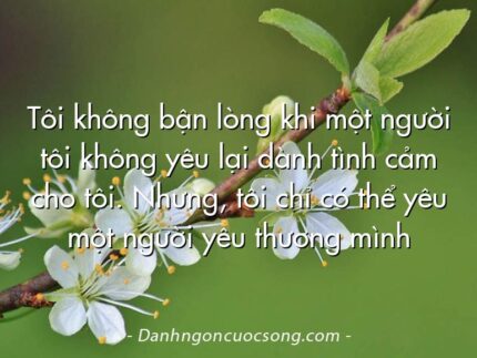 Tôi không bận lòng khi một người tôi không yêu lại dành tình cảm cho tôi. Nhưng, tôi chỉ có thể yêu một người yêu thương mình