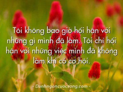 Tôi không bao giờ hối hận với những gì mình đã làm. Tôi chỉ hối hận với những việc mình đã không làm khi có cơ hội.