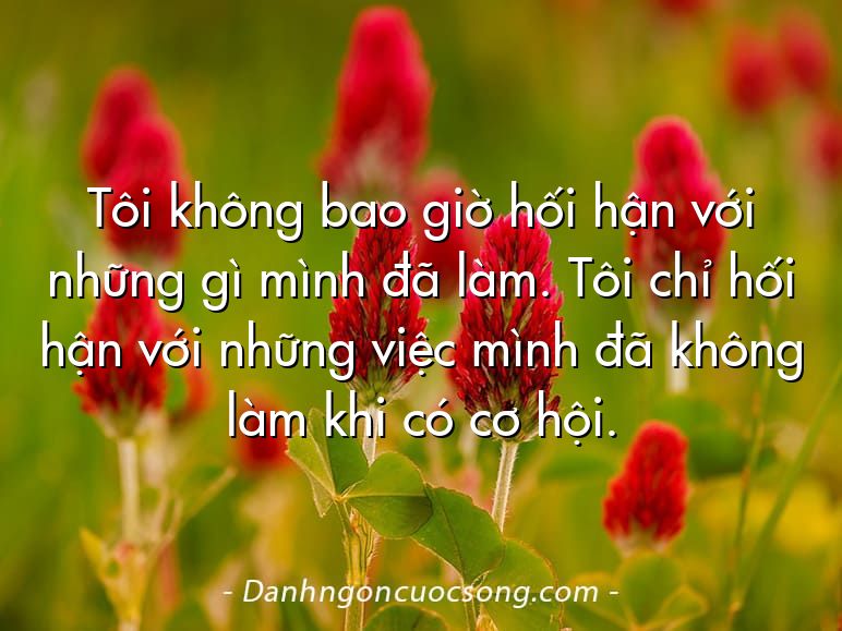 Tôi không bao giờ hối hận với những gì mình đã làm. Tôi chỉ hối hận với những việc mình đã không làm khi có cơ hội.