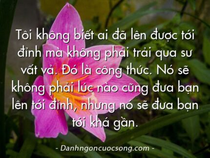 Tôi không biết ai đã lên được tới đỉnh mà không phải trải qua sư vất vả. Đó là công thức. Nó sẽ không phải lúc nào cũng đưa bạn lên tới đỉnh, nhưng nó sẽ đưa bạn tới khá gần.