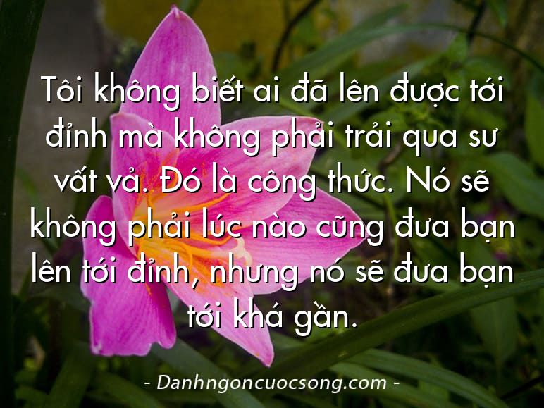Tôi không biết ai đã lên được tới đỉnh mà không phải trải qua sư vất vả. Đó là công thức. Nó sẽ không phải lúc nào cũng đưa bạn lên tới đỉnh, nhưng nó sẽ đưa bạn tới khá gần.