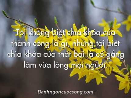 Tôi không biết chìa khóa của thành công là gì, nhưng tôi biết chìa khóa của thất bại là cố gắng làm vừa lòng mọi người.