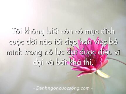 Tôi không biết còn có mục đích cuộc đời nào tốt đẹp hơn việc bỏ mình trong nỗ lực đạt được điều vĩ đại và bất khả thi.