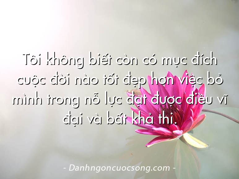 Tôi không biết còn có mục đích cuộc đời nào tốt đẹp hơn việc bỏ mình trong nỗ lực đạt được điều vĩ đại và bất khả thi.