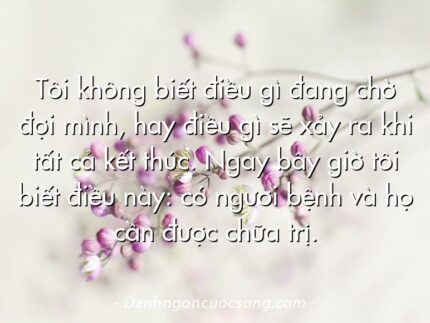 Tôi không biết điều gì đang chờ đợi mình, hay điều gì sẽ xảy ra khi tất cả kết thúc. Ngay bây giờ tôi biết điều này: có người bệnh và họ cần được chữa trị.