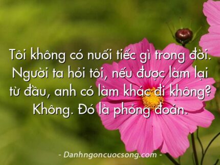 Tôi không có nuối tiếc gì trong đời. Người ta hỏi tôi, nếu được làm lại từ đầu, anh có làm khác đi không? Không. Đó là phỏng đoán.