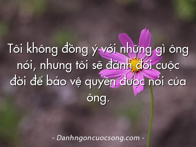 Tôi không đồng ý với những gì ông nói, nhưng tôi sẽ đánh đổi cuộc đời để bảo vệ quyền được nói của ông.