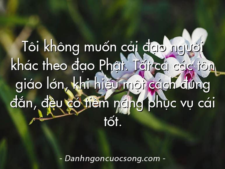 Tôi không muốn cải đạo người khác theo đạo Phật. Tất cả các tôn giáo lớn, khi hiểu một cách đúng đắn, đều có tiềm năng phục vụ cái tốt.