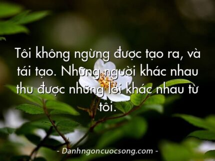 Tôi không ngừng được tạo ra, và tái tạo. Những người khác nhau thu được những lời khác nhau từ tôi.