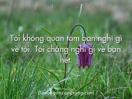 Tôi không quan tâm bạn nghĩ gì về tôi. Tôi chẳng nghĩ gì về bạn hết.