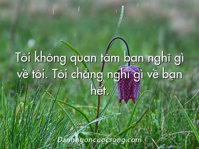 Tôi không quan tâm bạn nghĩ gì về tôi. Tôi chẳng nghĩ gì về bạn hết.